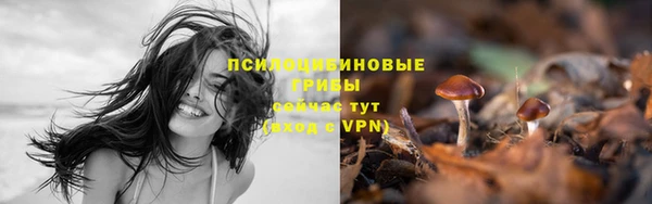 соль ск Надым