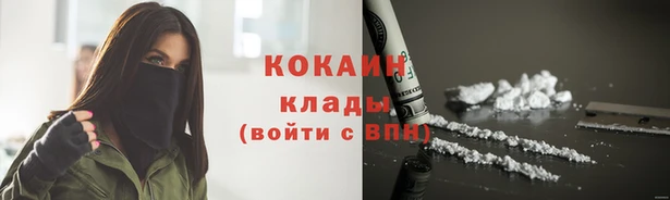соль ск Надым
